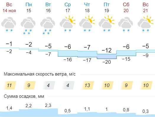 Фото Морозы до -20 и снегопад: синоптики предупредили об ухудшении погоды в Новосибирске с 15 ноября 2